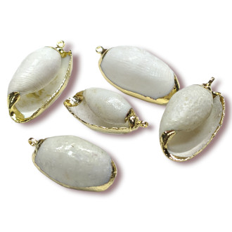 Подвеска, кулон, Морская ракушка, с Гальваническим покрытием, размер 24х14мм, цвет Натуральный_№3