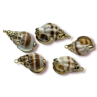 Подвеска, кулон, Морская ракушка, с Гальваническим покрытием, размер 22х12мм, цвет Натуральный_№4