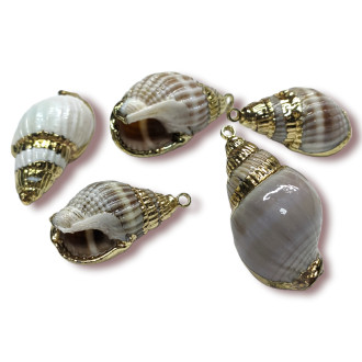 Подвеска, кулон, Морская ракушка, с Гальваническим покрытием, размер 24х13мм, цвет Натуральный_№6