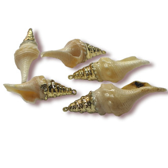 Подвеска, кулон, Морская ракушка, с Гальваническим покрытием, размер 35х14мм, цвет Натуральный_№8