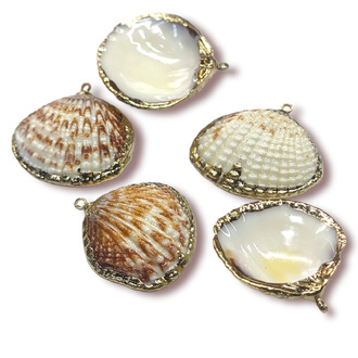 Подвеска, кулон, Морская ракушка, с Гальваническим покрытием, размер 25х25мм, цвет Натуральный_№12