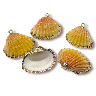 Подвеска, кулон, Морская ракушка, с Гальваническим покрытием, размер 25х20мм, цвет Натуральный_№14