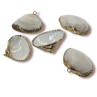 Подвеска, кулон, Морская ракушка, с Гальваническим покрытием, размер 25х20мм, цвет Натуральный_№22