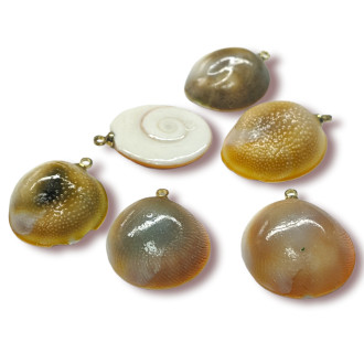 Подвеска, кулон, Морская ракушка, с Гальваническим покрытием, размер 22х18мм, цвет Натуральный_№25