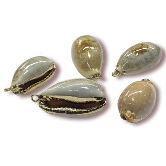 Подвеска, кулон, Морская ракушка, с Гальваническим покрытием, размер 27х13мм, цвет Натуральный_№26