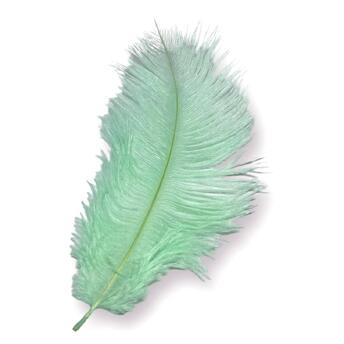 Перья страуса ЮАР 15-20 см 1 шт. Зелёная мята