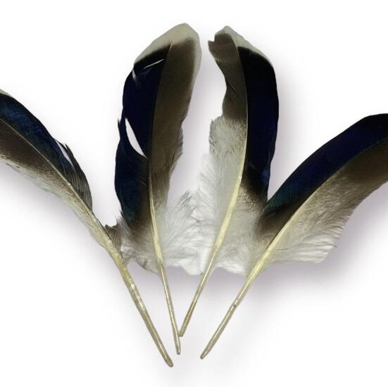 Перья утиные 10-15 см 10 шт. _ПДД 013