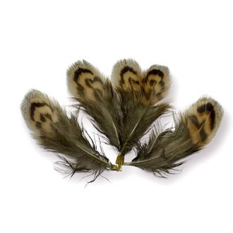 Перья фазана 5-9 см 10 шт. _ПДД 030