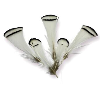 Белые перья фазана 5-8 см