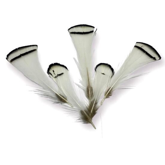 Белые перья фазана 5-8 см