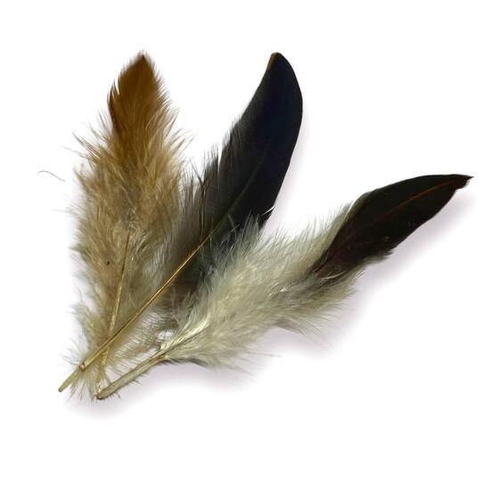 Перья куриные 10-15 см 20 шт. _ПДД 004