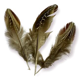 Перья куропатки 4-7 см 10 шт.