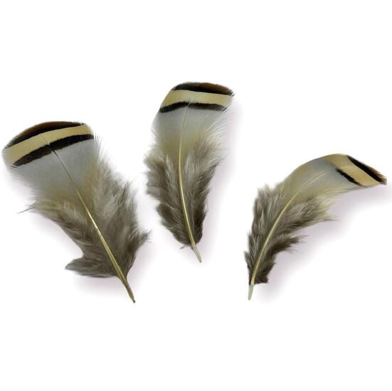 Перья горной курицы 4-7 см 5 шт. _ПДД 033