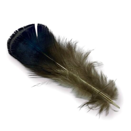 Перья медно-голубого фазана 4-8 см 1 шт.