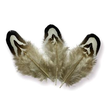 Перья фазана 3-7 см 1 шт.