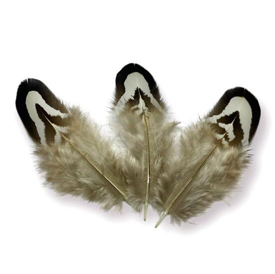 Перья фазана 3-7 см 1 шт.