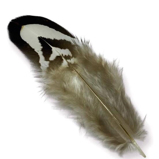 Перья фазана 3-7 см 1 шт.
