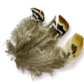 Перья фазана 4-8 см 5 шт._ПДД-012