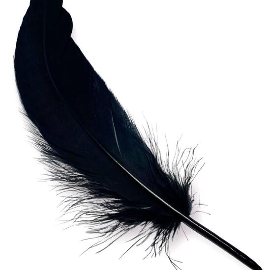Перья гусиные 15-20 см 25 шт. Черный_ПДД 011z
