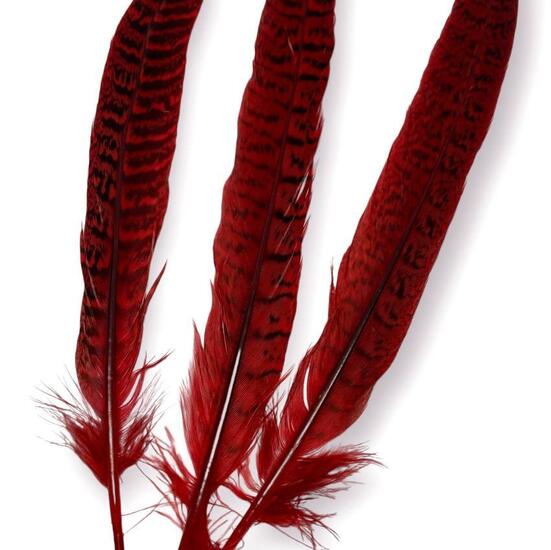 Перья горной куропатки 22-26 см 1 шт. Красный_ПДД 0213КР