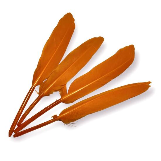 Перья куриные 10-15 см 25 шт. Оранжевый_ПДД 048О
