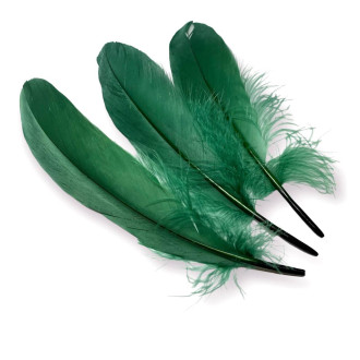 Перья гусиные 15-20 см 25 шт. Зеленый_ПДД 011З