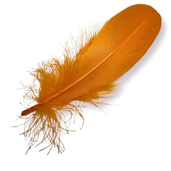 Перья гусиные 15-20 см 25 шт. Оранжевый_ПДД 011О