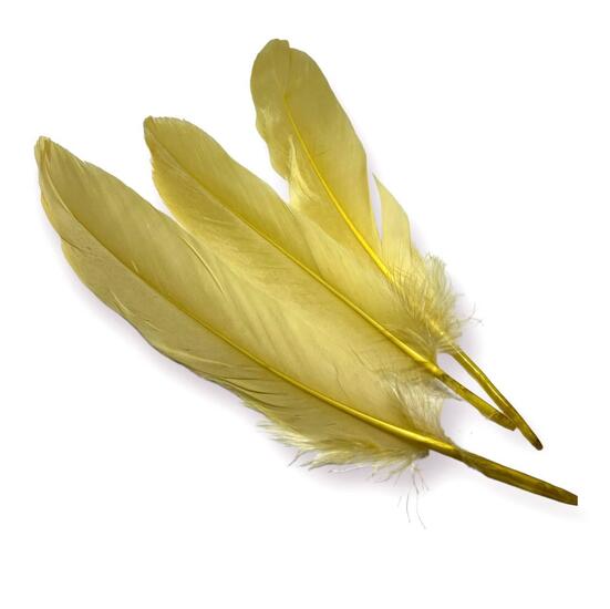 Перья гусиные 15-20 см 25 шт. Бежевый