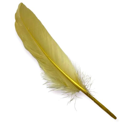 Перья гусиные 15-20 см 25 шт. Бежевый