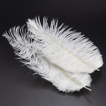 Перья страуса ЮАР 15-20 см 1 шт. Белый