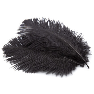 Перья страуса ЮАР 15-20 см 1 шт. Черный