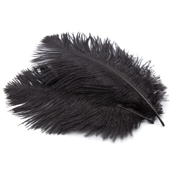 Перья страуса ЮАР 15-20 см 1 шт. Черный