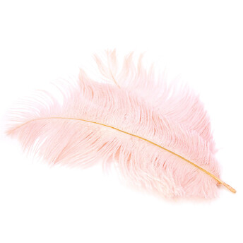 Перья страуса ЮАР 15-20 см 1 шт. Розовый шампань