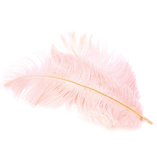 Перья страуса ЮАР 20-25 см 1 шт. Розовый шампань