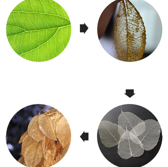 Натуральный Лист, Подвеска, Гальваника, Размер 30-40х60-70мм, Цвет Черный