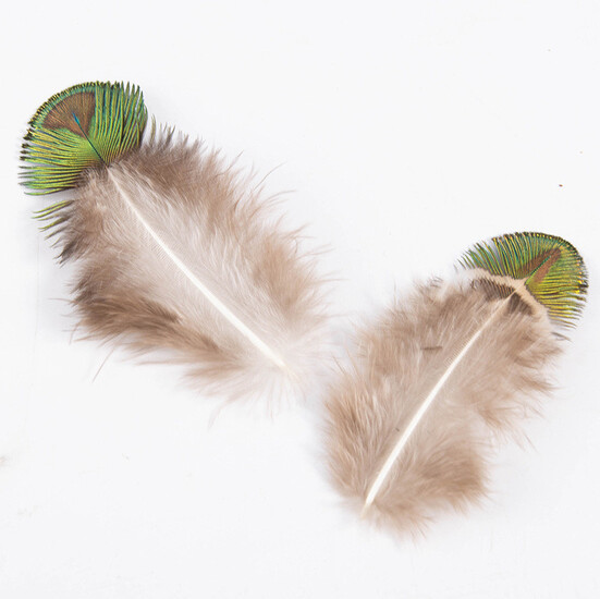 Перья Золотые чешуйки павлина 4-7 см 1 шт.