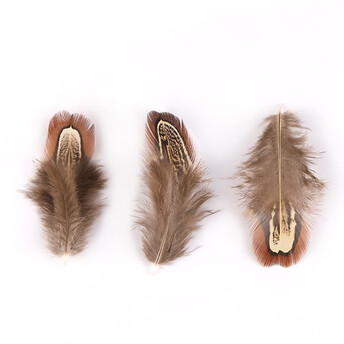 Куриные перья 4-8 см 10 шт. Коричневый_ПДД019К