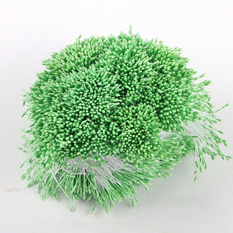 Тычинки двойные перламутровые 6х0,1 см +-360 шт. Зеленый