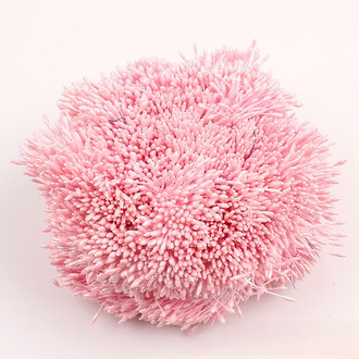 Тычинки двойные перламутровые 6х0,1 см +-360 шт. Розово-коралловый