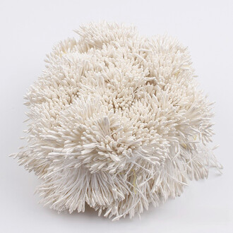 Тычинки двойные перламутровые 6х0,1 см +-360 шт. Белый