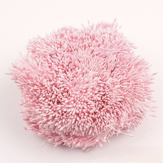 Тычинки двойные перламутровые 6х0,1 см +-360 шт. Розовый опал