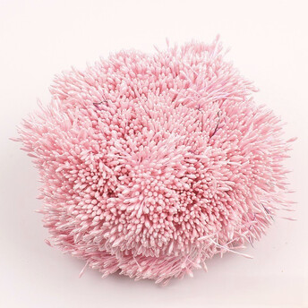 Тычинки двойные перламутровые 6х0,1 см +-360 шт. Розовый опал