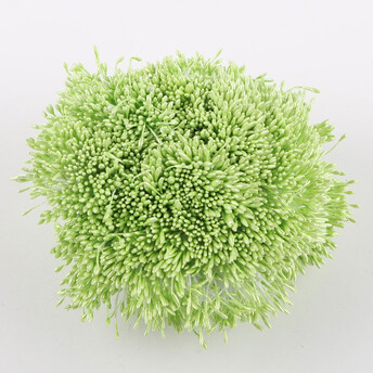 Тычинки двойные перламутровые 6х0,1 см +-360 шт. Салатовый