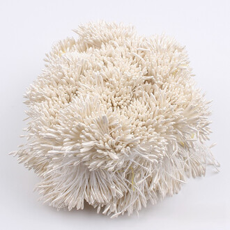 Тычинки двойные перламутровые 6х0,1 см +-360 шт. Кремовый