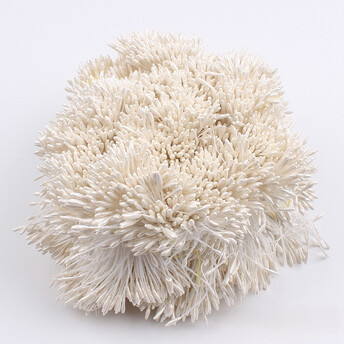 Тычинки двойные перламутровые 6х0,1 см +-360 шт. Кремовый