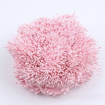 Тычинки двойные перламутровые 6х0,1 см +-360 шт. Розовый светлый