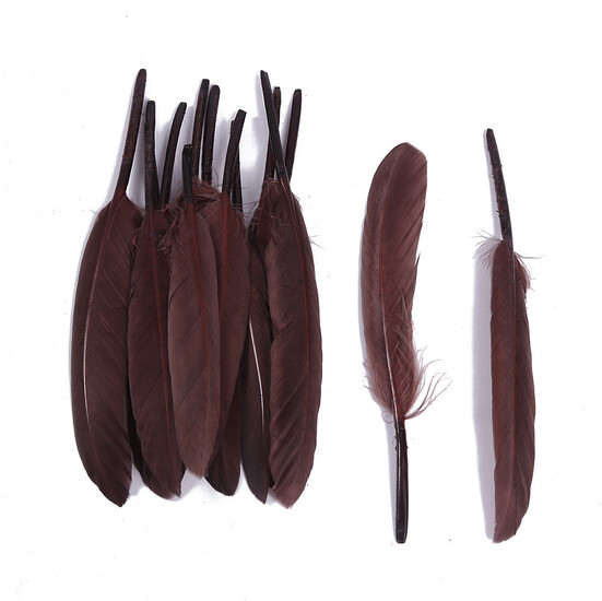 Перья куриные 10-15 см 25 шт. Коричневый_ПДД 048К