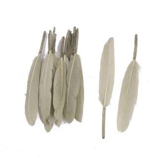 Перья куриные 10-15 см 25 шт. Бежевый_ПДД 048