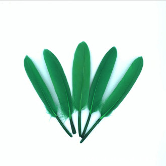 Перья куриные 10-15 см 25 шт. Зеленый_ПДД 048З