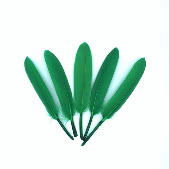 Перья куриные 10-15 см 25 шт. Зеленый_ПДД 048З